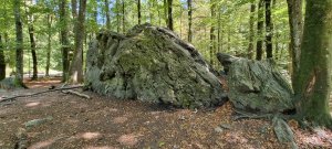 Photo 20230902 144635