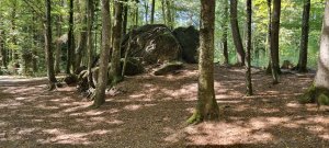 Photo 20230902 144826