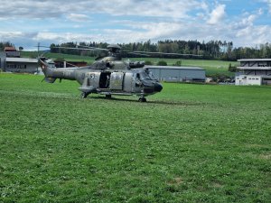 Rencontres Internationales Oldtimer RIO 2026 SuperPuma 04