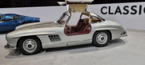 Photo 20240303 130113