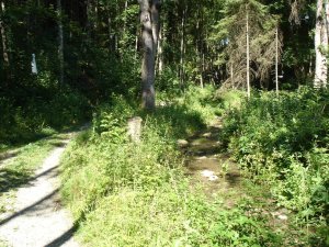 Photo Sentier des sculptures 39