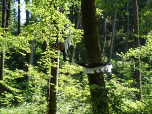 Photo Sentier des sculptures 40