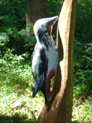 Photo Sentier des sculptures 45