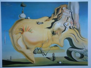 Photo Dali - The Great Masturbator