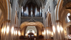 Photo 20191124 154444