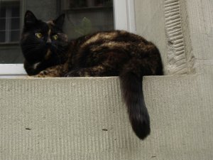 Photo Stalden Fribourg